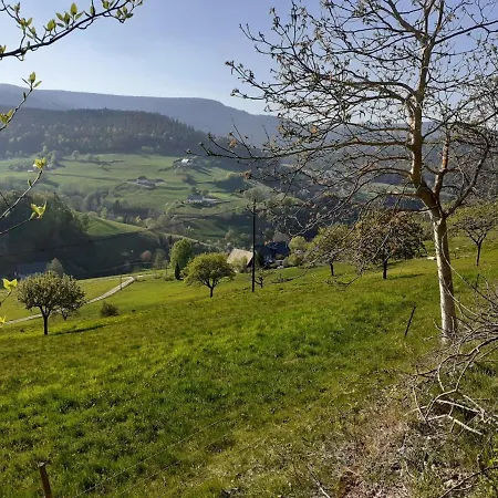 Nordiques De La Welche Orbey