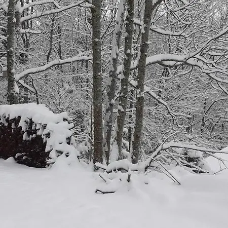 Nordiques De La Welche *