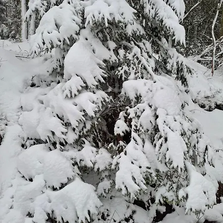Semesterbostad Nordiques De La Welche Orbey