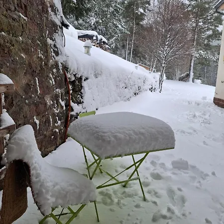 Nordiques De La Welche Orbey