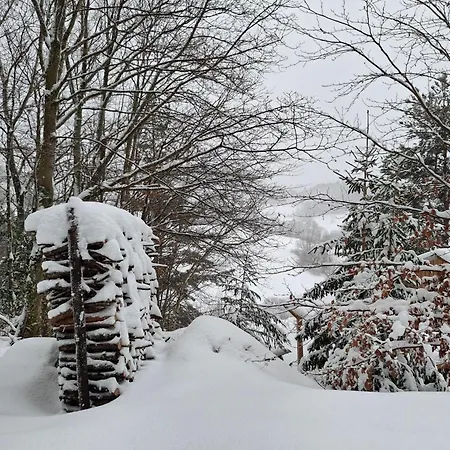 Nordiques De La Welche * Orbey