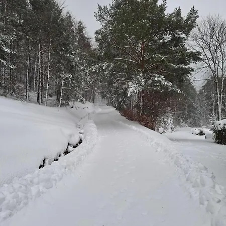 Nordiques De La Welche